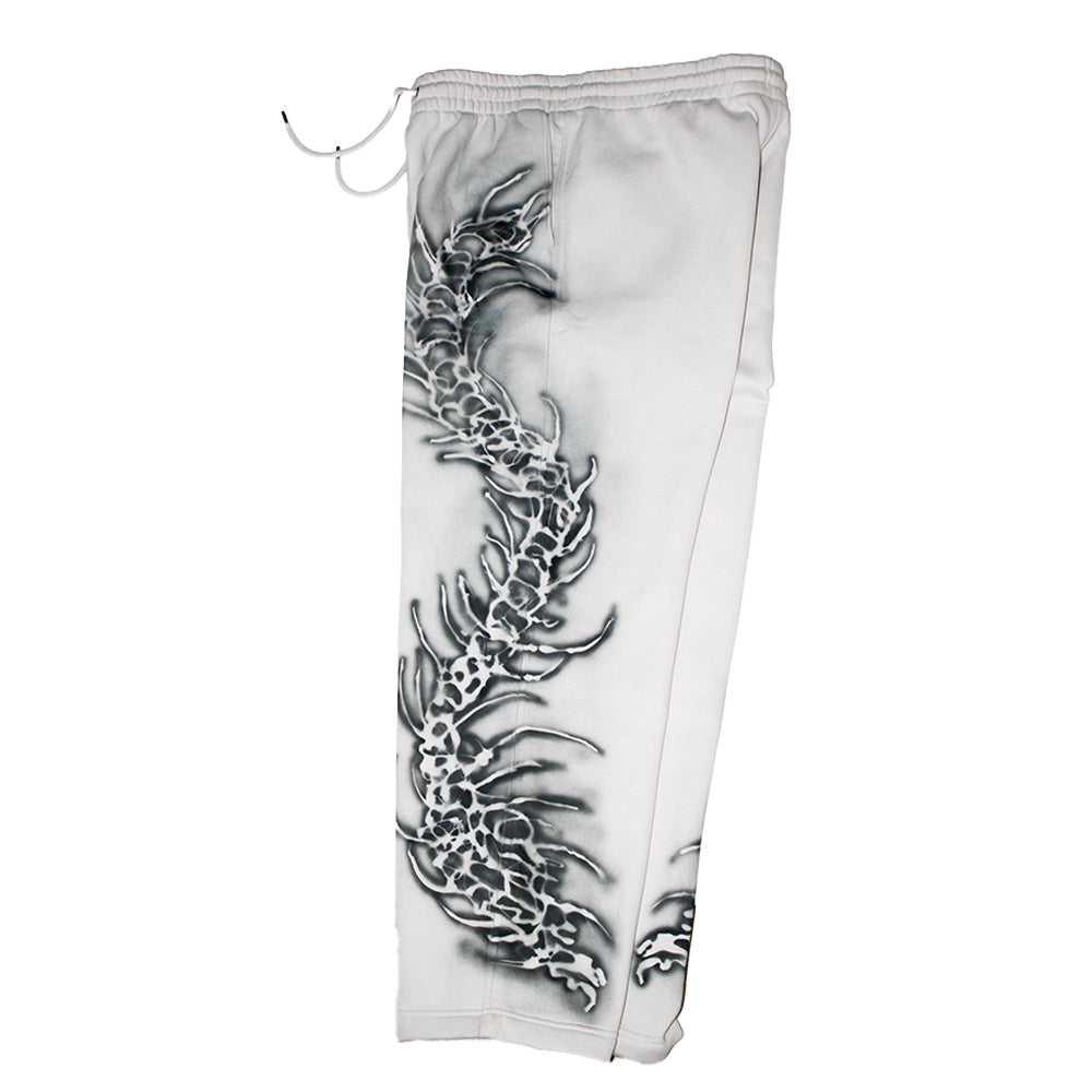 CENTIPEDE JOGGER 1OF1